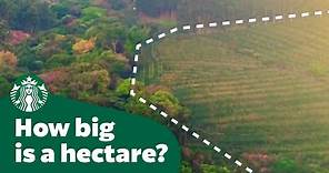 How big is a hectare?