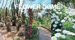 Flower Dome - Gardens By The Bay [Singapore] Travel Guide 2023 [4K] 花穹新加坡 旅游景點