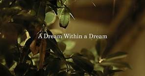 A Dream Within a Dream by Edgar Allan Poe