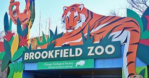 Lincoln Park Zoo vs. Brookfield Zoo: Which Is Better to Visit?