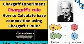 Chargaff Experiment & DNA base pairing Rule||How to Calculate base composition using Chargaffs Rule?