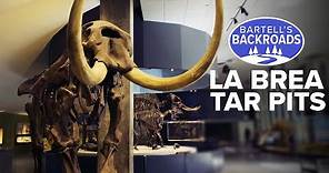 The hidden beasts preserved in LA's La Brea Tar Pits | Bartell's Backroads