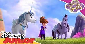 La Princesa Sofía: Momentos Mágicos - Los amigos caballos | Disney Junior Oficial