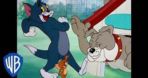 Tom & Jerry | The Evening Fun! | Classic Cartoon Compilation | WB Kids