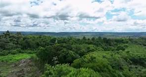 巴西總統魯拉簽署文件 推2030亞馬遜雨林零砍伐 ｜ 公視新聞網 PNN