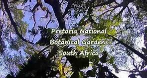 Pretoria National Botanical Gardens