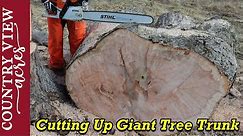 Cutting up a giant tree trunk. The chainsaw is just big enough to do it.