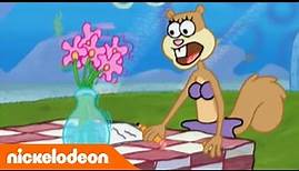 SpongeBob Schwammkopf | Sandys Überraschungstag | Nickelodeon Deutschland