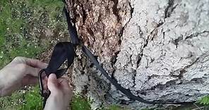 Hanging a Hammock - Complete Setup in 2 minutes