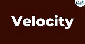 What is Velocity? - Full Concept of Velocity - Physics | Infinity Learn
