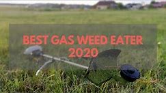 Best Gas Weed Eater For The Money (✅2022 Review✅)