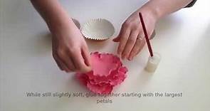 How to Make a Sugarcraft Peony Flower
