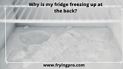 Why is my fridge freezing up at the back? 3 Reasons You Might Not Know. - Frying Pro