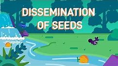 How Plants Disperse Their Seeds