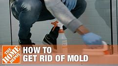 How to Get Rid of Mold | The Home Depot