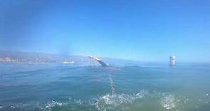 Leadbetter Beach Swim