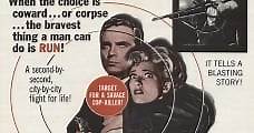 Imperio de malhechores (1961) Online - Película Completa en Español - FULLTV