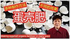 蛋壳有机肥的多种制作方法，效果一种比一种好，看了你就知道 |Making eggshell organic fertilizer in many ways|点CC字幕English Subtitles