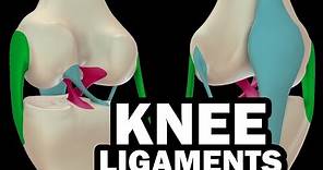 LIGAMENTS OF THE KNEE