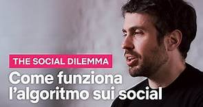 Come funziona l'algoritmo sui social spiegato in The Social Dilemma | Netflix Italia