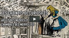 Les Cabinets de Curiosités : Aïeuls des Musées et Chambre des Merveilles