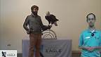 National Eagle Center Reopens In Wabasha After Renovations