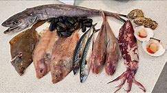 Classification of Fish and Shellfish