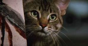 Stephen King's Cat's Eye - Original Theatrical Trailer
