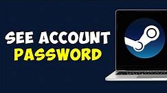 How To See Steam Password While Logged In (Updated)