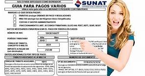 Guía de PAGOS VARIOS SUNAT ⬇️ Para Llenar y Descargar en PDF