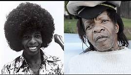 The Life and Tragic Ending of Sly Stone