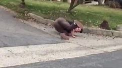 Guy Falls After Skateboard Gets Stuck on Curb