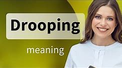 Understanding the Phrase "Drooping"