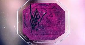 The story behind the One-Cent Magenta stamp worth $9.5M