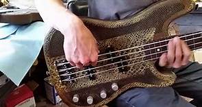 Brett Simons Bass test