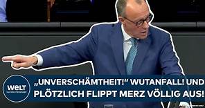 FRIEDRICH MERZ: AfD? "Unverschämtheit!" Wutanfall! Und plötzlich flippt der CDU-Chef völlig aus!