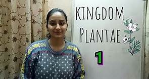Kingdom Plantae | Biological classification part-5 | Class XI | Lecture 33