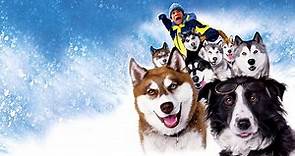 Snow Dogs - 8 cani sotto zero, cast e trama film - Super Guida TV