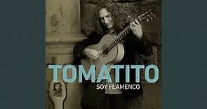 Soy Flamenco (Bulerías)