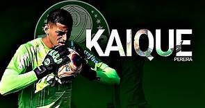 🔥 Kaique Pereira Ϟ Highlights Ϟ Palmeiras 21/22