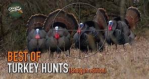 30 Gobbler Hunts in 5 Minutes! (ULTIMATE Turkey Hunting Compilation) | BEST OF