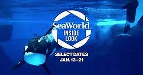 Inside Look 2024 | SeaWorld San Diego