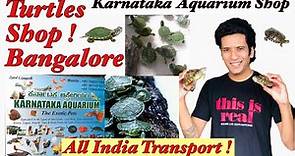 Turtles in Bangalore | Turtles for Sale | Karnataka Aquarium | Turtles for Sale in India |Turtleshop