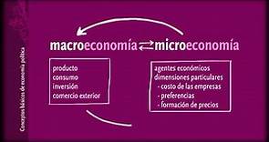 Economía política, conocimientos básicos. Macro y Microeconomía.