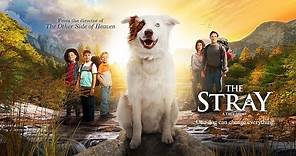 The Stray | Official Trailer