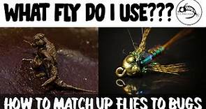 Fly Fishing Entomology 101: How To Decide Which Fly Pattern To Use
