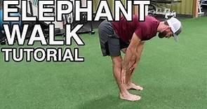 ELEPHANT WALK TUTORIAL | hamstring warm up bodyweight exercise | Human 2.0