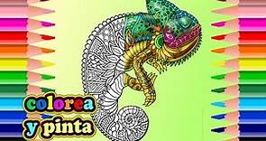 Camaleón Mandala Para Colorear - Mandala Chameleon To Paint
