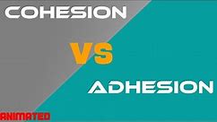Cohesion vs Adhesion