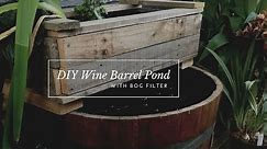 DIY wine barrel pond- with bog filter